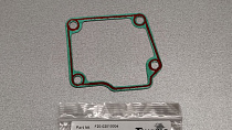 картинка Прокладка выхлопа PARSUN F15-20 (F20-02010004, 6AH-41134-00) от магазина